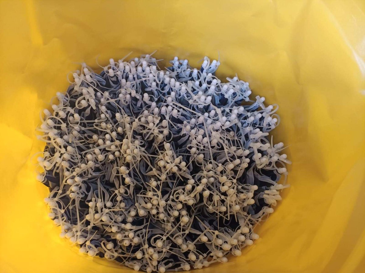 EcoShowboat's tweet photo. 35 parasols that make the Pangolin Pavilion in a yellow bag!

The Pangolin Pavillion will re-emerge in Limerick for the start of the #Shannonvoyage on May 1st.

#ecoshowboat
#limerickcoco
#huntmuseum
#curraghgourboatclub
#creativeir
 #artscouncil_ie https://t.co/hTbvH2VhwN
