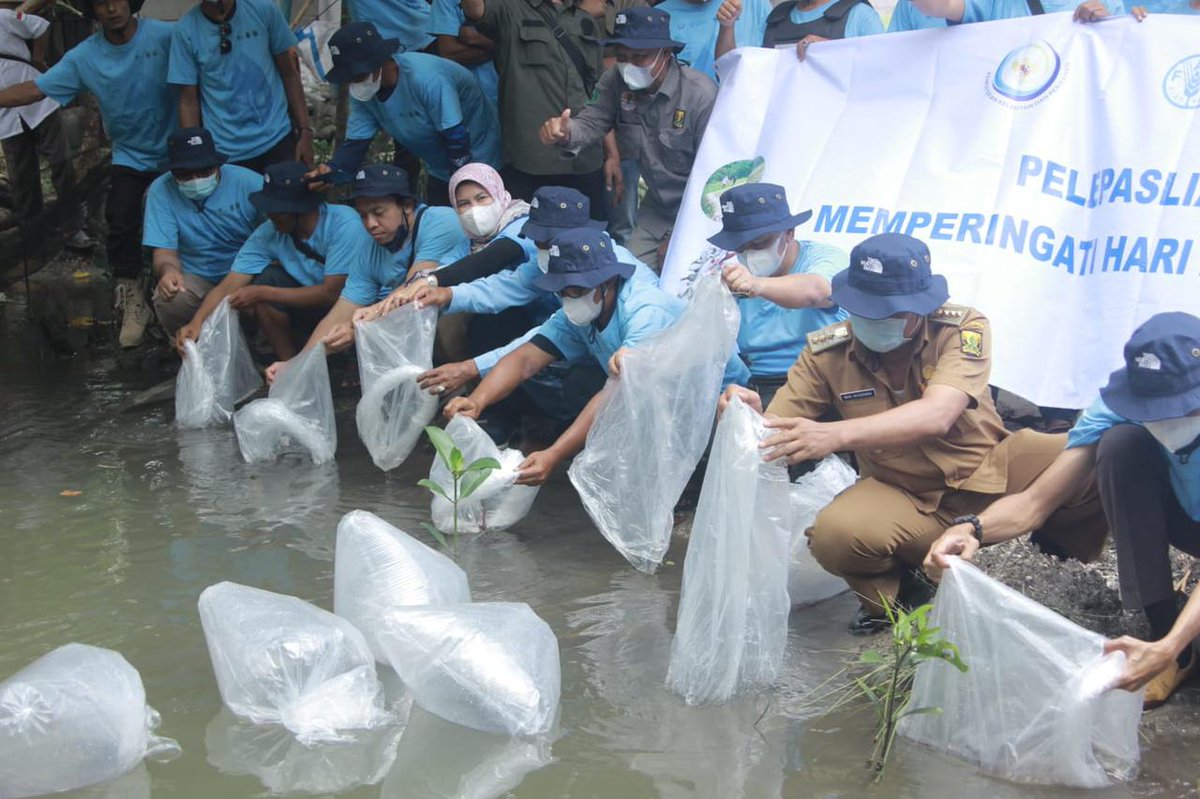 FAOIndonesia's tweet photo. Dalam rangka hari air sedunia💧💧,
proyek #IFish @FAOIndonesia melalui PokJa Pengelolaan Perairan Darat Terpadu Kabupaten Sukabumi mengadakan penanaman pohon 🌿🌱dan pelepasan 4.000 benih sidat di ekosistem sungai Ciletuh.
#worldwaterday #ifish #sidat https://t.co/EJ5q6xhtKS