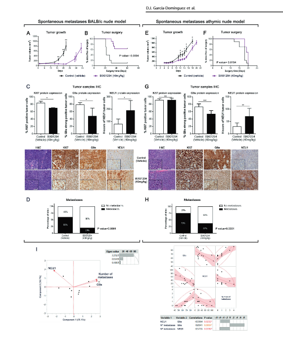 📢📢 Most patients who die of #sarcomas have metastases. Today we publish an article that reveals (a little) how metastases occur in #Ewing #sarcoma and suggests a blocking mechanism.

doi.org/10.1038/s41388…