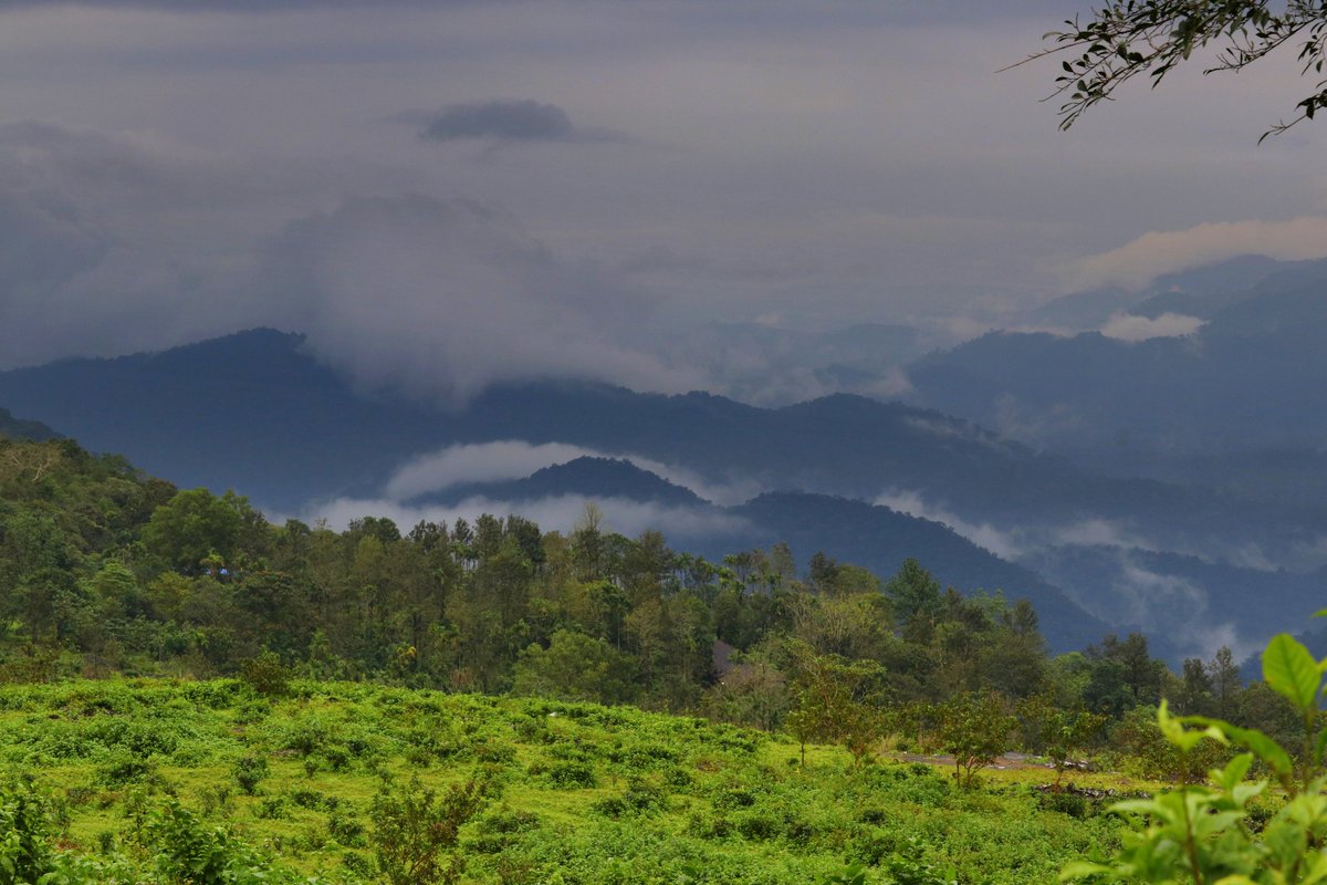Providing technical support to Government of India and other stakeholders to manage #forests as an important component of a broad-based, inclusive, and #sustainable #economic growth that meets local needs while addressing #global #environmental challenges.