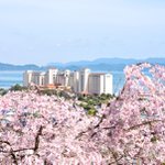 ツイートに含まれる画像