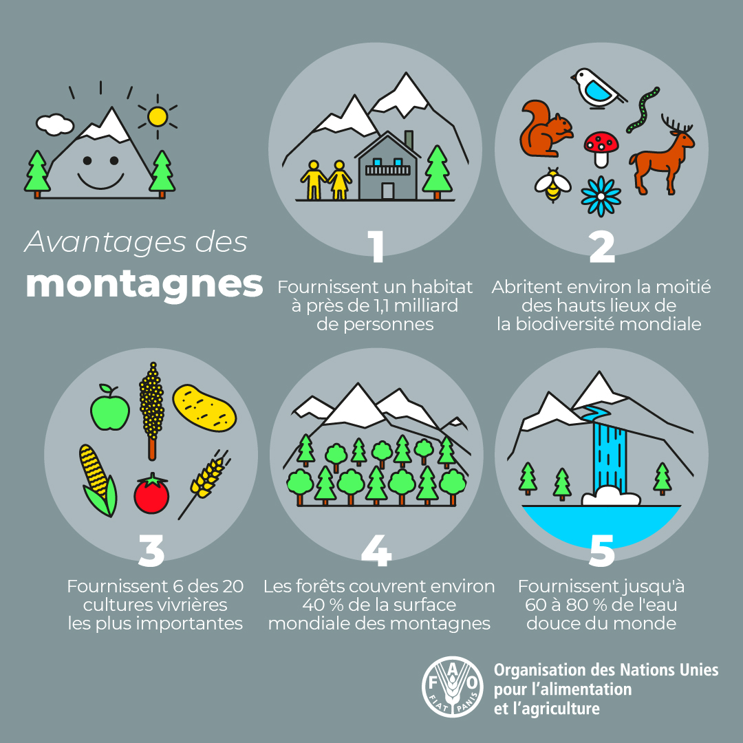 Image posted by FAOenFrancais to twitter