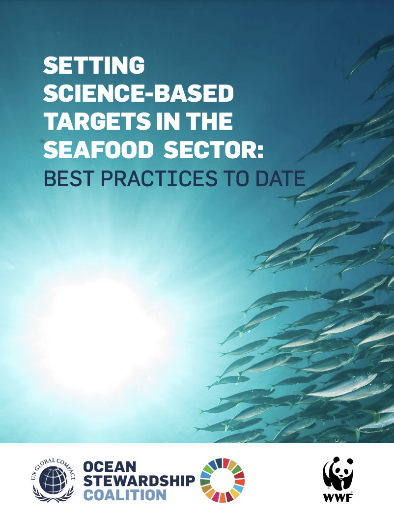 Helen Packer tweet media