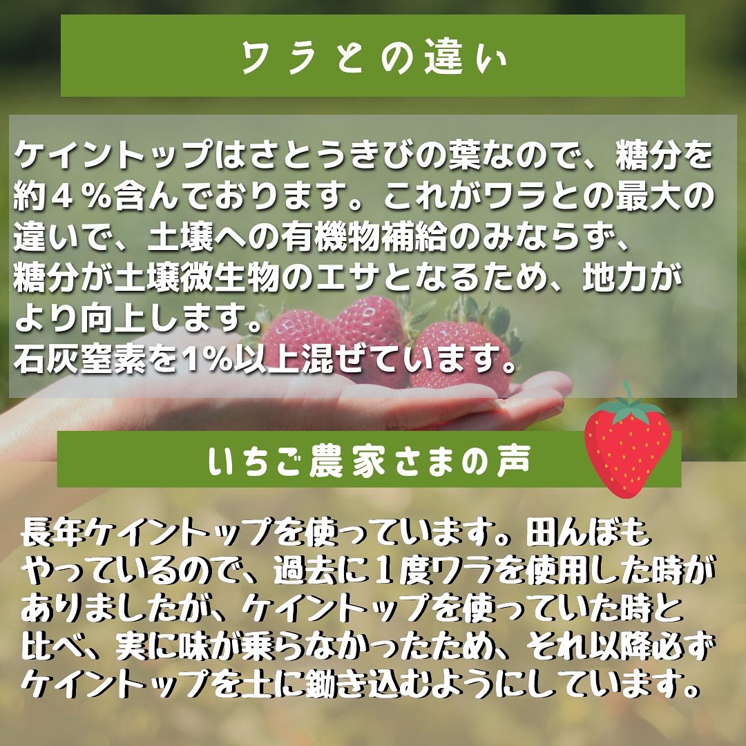 アグリック株式会社 Agrictrading Twitter