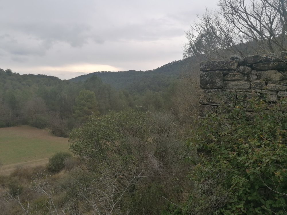 Plou a Mas Figuera.
Primer text de <a href="/tonlloret/">Ton Lloret Ortínez</a> de <a href="/repoblem/">Repoblem</a> 

"I et preguntes per què van deixar de trobar-hi un futur i com devia ser el seu final. I mires de treure alguna frase, alguna reflexió per acompanyar les fotos que has fet"

laconca51.cat/plou-a-mas-fig…