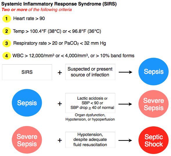 Pediatric Septic Shock