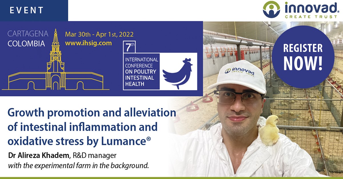 innovadgroup's tweet photo. Don't miss out on Dr. Alireza Khadem's presentation tomorrow (31/3) about the growth promotion and alleviation of chronic intestinal inflammation and oxidative stress by an in-feed technology in #broilers under a dietary challenge in real #farming conditions at #IHSIG! https://t.co/K0aJBGsh39