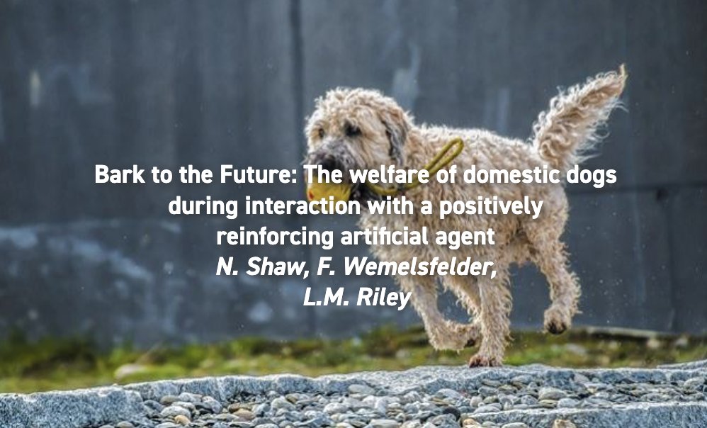 appliedethology's tweet photo. Pet dogs typically spend much of their time inside alone. New research indicates that using artificial audio/food dispensing devices may be good for their enrichment. Read the full article open access. https://t.co/QasKMdnnh3 https://t.co/pSdz1887Ga