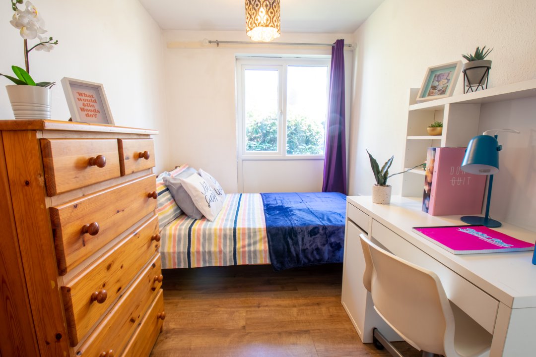 studentplaces_'s tweet photo. 19 Headcorn Drive! 🏡

Perfect for a group of 4 students studying in Canterbury. 4 large bedrooms and a spacious open plan kitchen and living room.

Hurry! ⚠ Our houses are being let fast! So get your accommodation sorted for next year quickly! https://t.co/WfInIktZco