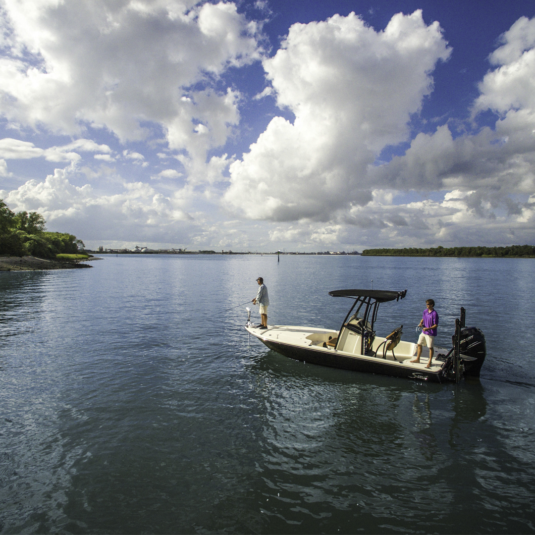 GarminFrance's tweet photo. Pressé d'être ce week-end pour une partie de pêche ?
#LiveScopePlus https://t.co/jqzWs3YQ6s