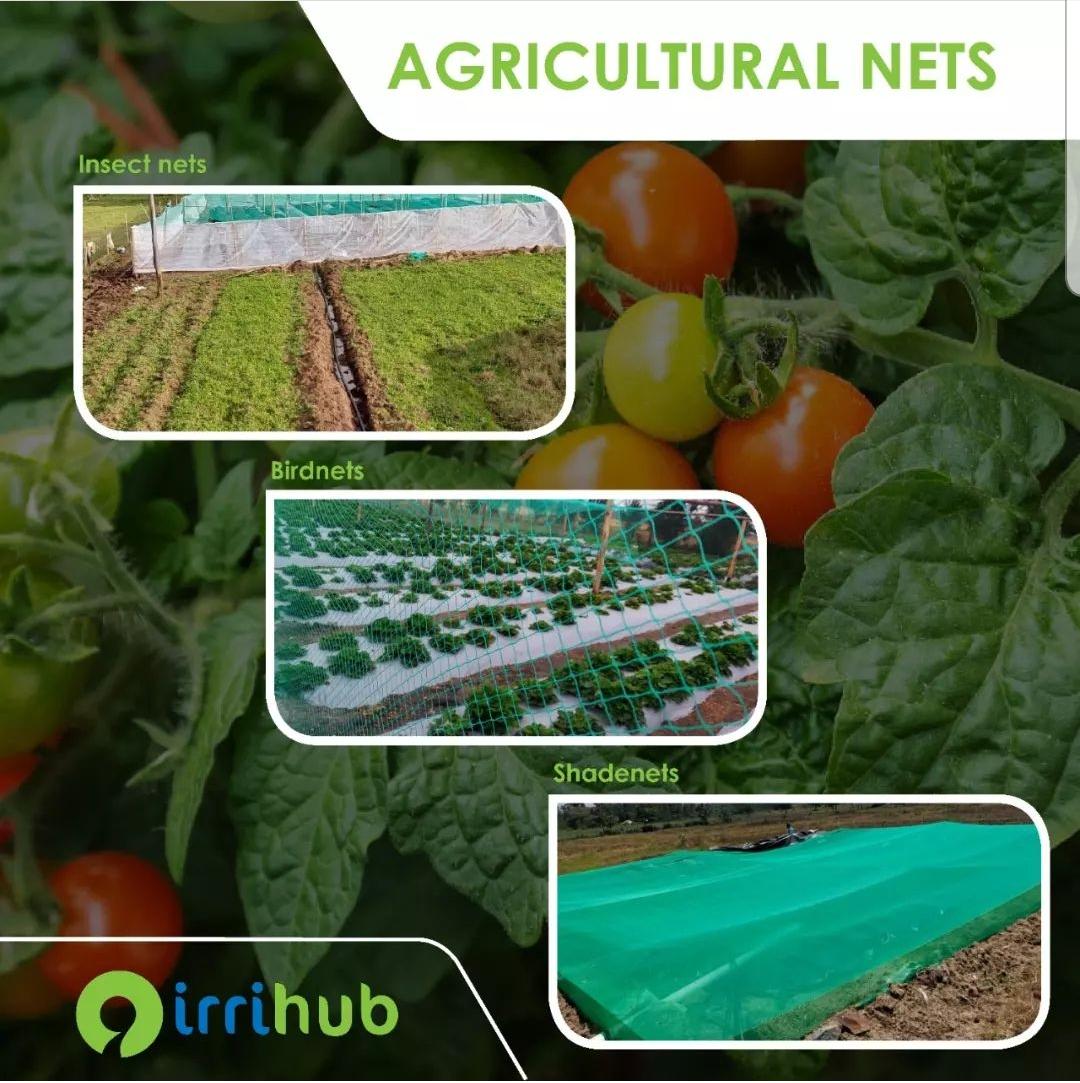 IrriHub's tweet photo. We help farmers like you make the right decisions for their farms by providing Birdnets, Insect Nets and Shadenets.
To request for a pre-site survey or meeting, call 0732957984 /0112148880
or email info@irri-hub.com
#irrihub #birdnets #shadenets #agriculturalnets #insectnets https://t.co/0EltuFbK2t