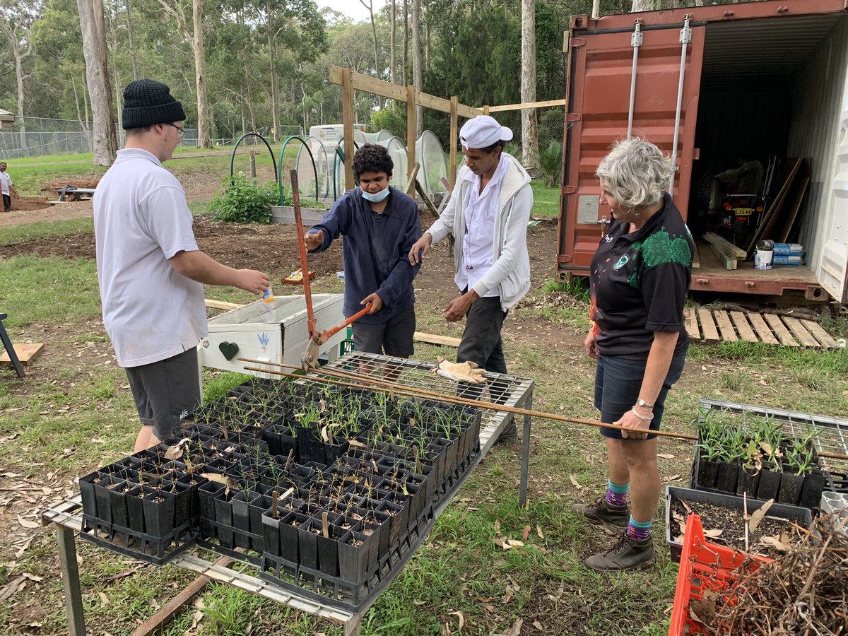 DarrenMartin01's tweet photo. The boys at #NaroomaHS supported &amp; encouraged each other to get the initial stages of their new school nursery completed. Real-life lessons in the outdoors classroom. #communitygreening @RBGSydney providing meaningful opportunities for our youth. https://t.co/YktsRUH8NF
