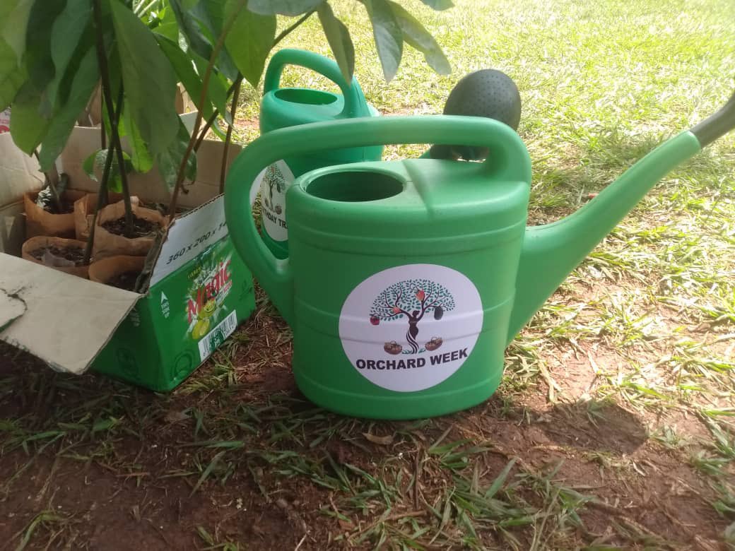G4ClimateAction's tweet photo. Mid way the orchard week in Schools. #Orchardweek Day 3! https://t.co/oM1qea2v66