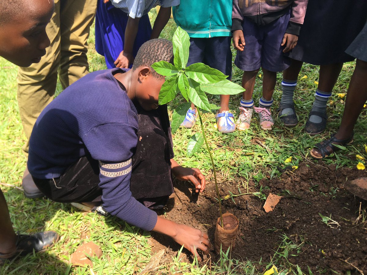 G4ClimateAction's tweet photo. Mid way the orchard week in Schools. #Orchardweek Day 3! https://t.co/oM1qea2v66