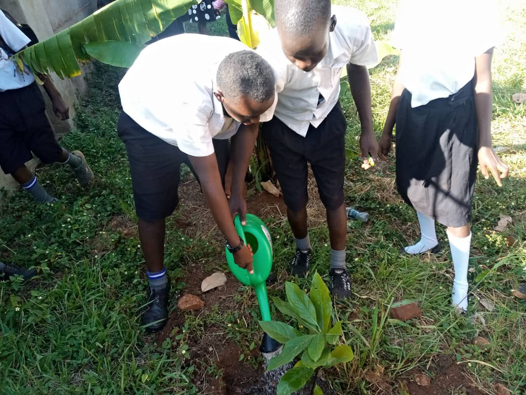 G4ClimateAction's tweet photo. Mid way the orchard week in Schools. #Orchardweek Day 3! https://t.co/oM1qea2v66