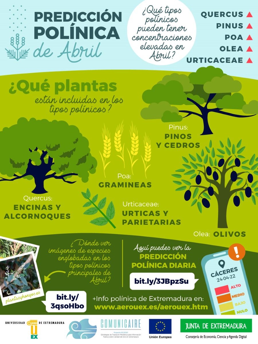 #Comunicaire  #UEX   #PredicciónPolínica
aerouex.es/aerouex.htm