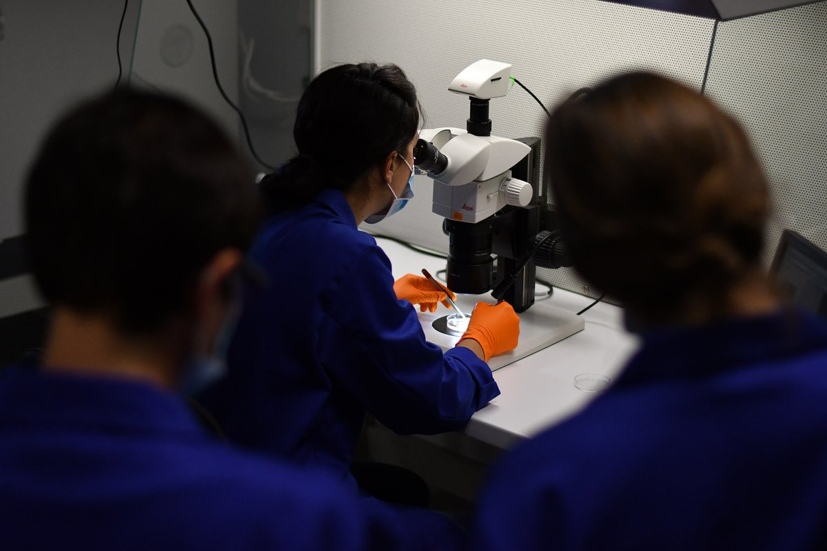 Bordeaux Neurocampus (@neuro_bordeaux) on Twitter photo 🔬Bordeaux Summer School – Introduction to experimental neuroscience. Discover methods and concepts in #neuroscience research through hands-on training
🧭Venue: <a href="/bdxneuroschool/">Bordeaux School Of Neuroscience 🧠</a> <a href="/univbordeaux_EN/">University of Bordeaux</a>
🗓️July 18th-30th, 2022
❗️Application deadline: April 6th
bordeaux-neurocampus.fr/en/bordeaux-su… 🔬Bordeaux Summer School – Introduction to experimental neuroscience. Discover methods and concepts in #neuroscience research through hands-on training
🧭Venue: <a href="/bdxneuroschool/">Bordeaux School Of Neuroscience 🧠</a> <a href="/univbordeaux_EN/">University of Bordeaux</a>
🗓️July 18th-30th, 2022
❗️Application deadline: April 6th
bordeaux-neurocampus.fr/en/bordeaux-su…