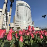 ツイートに含まれる画像