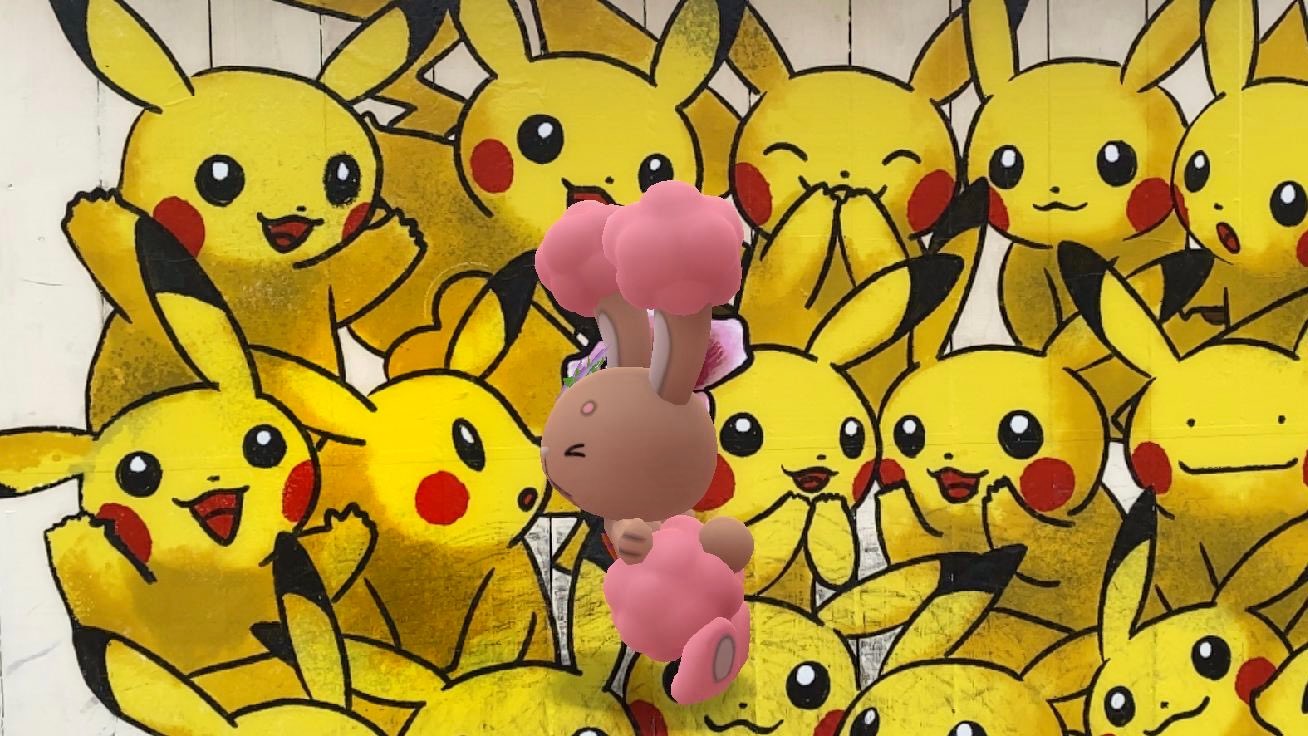 マメパト Twitter Suche Twitter