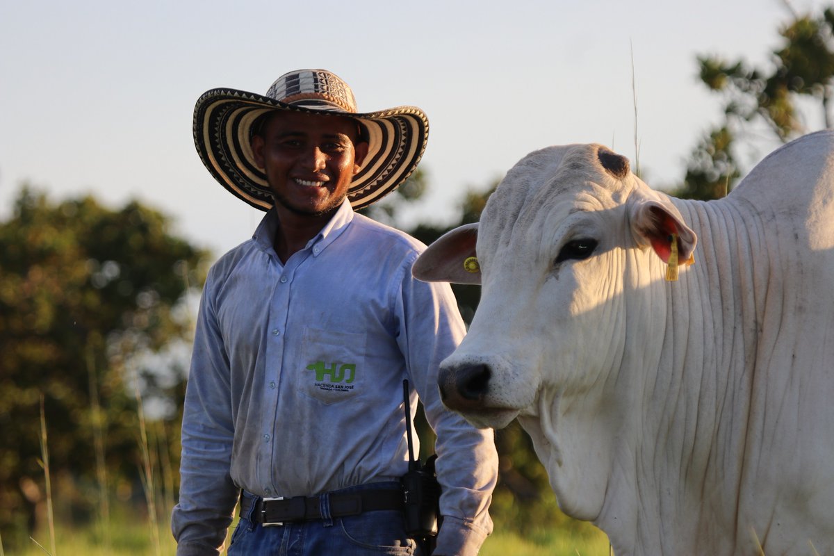WBG_ClimateEnv's tweet photo. Learn about how the @WorldBank’s ISFL and @IFC_org’s private sector capacity building helps companies to unlock new investments in climate-smart agriculture and sustainable forest landscapes in #Colombia: https://t.co/kPbvgVQAFw https://t.co/f1FkJfGyBy