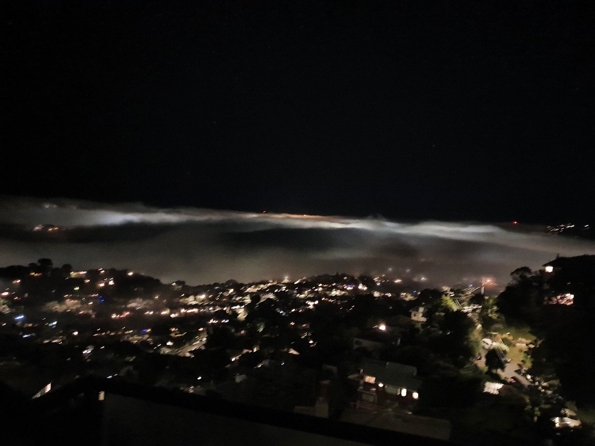 Wellington - calm and warm !! But a gentle layer of fog tonight ..