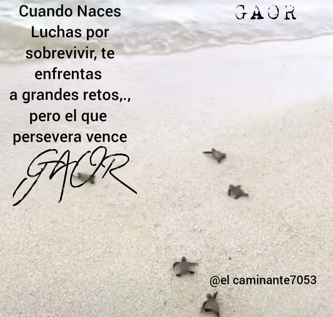 materiales_ tweet picture