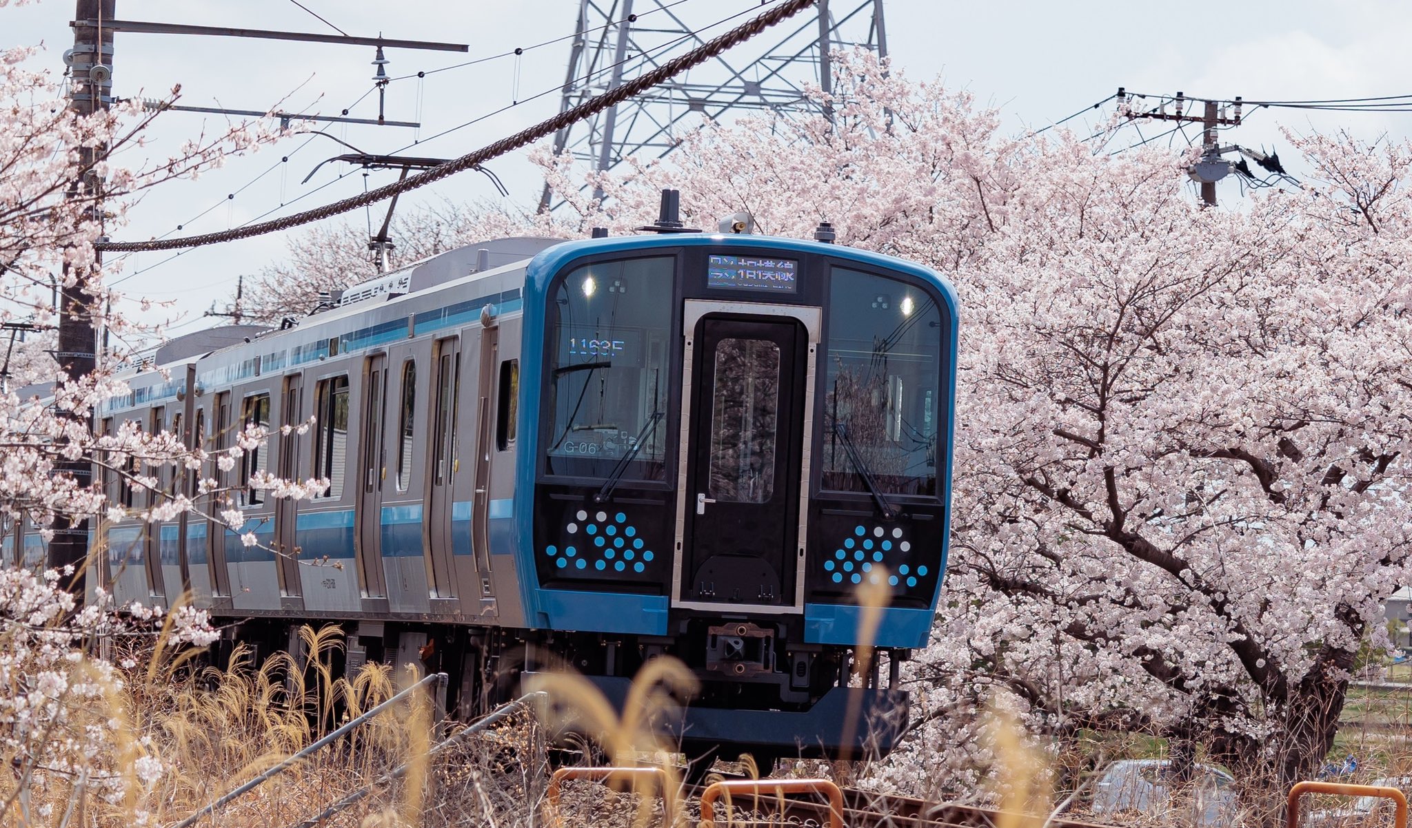 鉄道模型風景 鉄道と桜の風景、愛媛県、引き取り限定 鉄道模型風景 鉄道と桜の風景、愛媛県宇和島、引き取り限定 鉄道模型