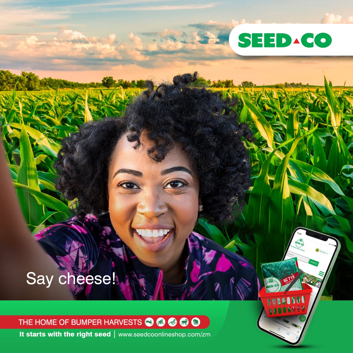 SeedCoZambia's tweet photo. How are your crops doing? Pose for the camera and show off your crop. Share a selfie in your field and you could walk away with some SeedCo goodies.
#SC719 #SC657
#TheHomeOfTheBumperHarvests https://t.co/ZJzZe7wDiw