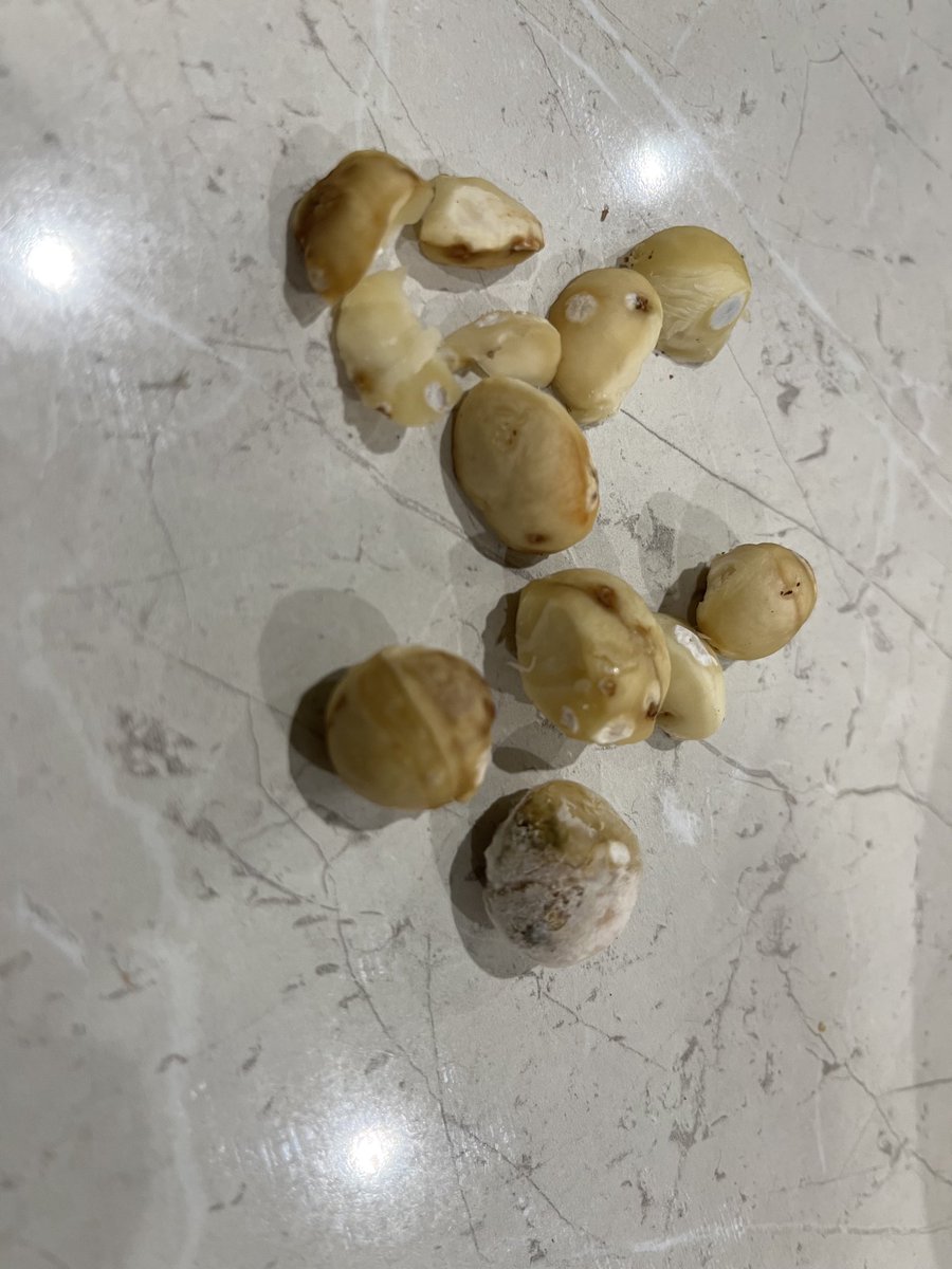 Jeff Mulder tweet media