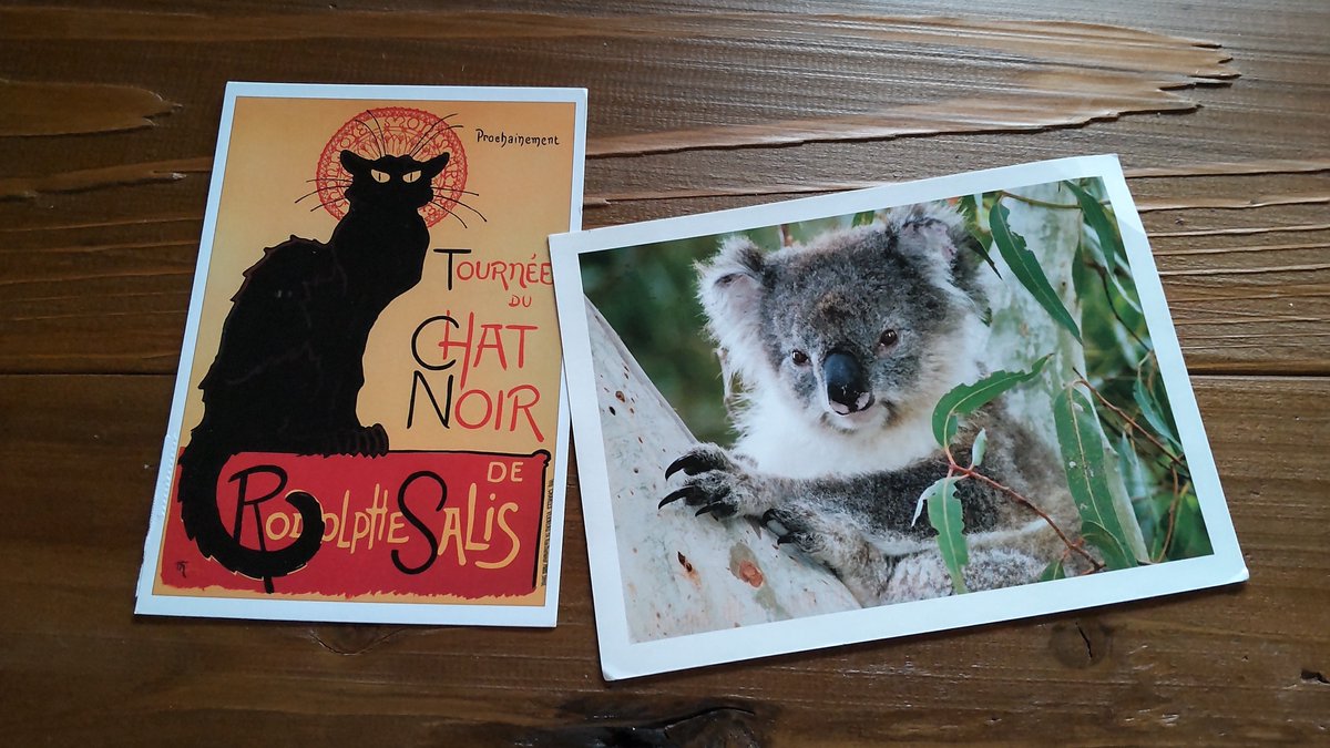 みんなの コアラ 寿司 口コミ 評判 食べたいランチ 夜ごはんがきっと見つかる ナウティスイーツ