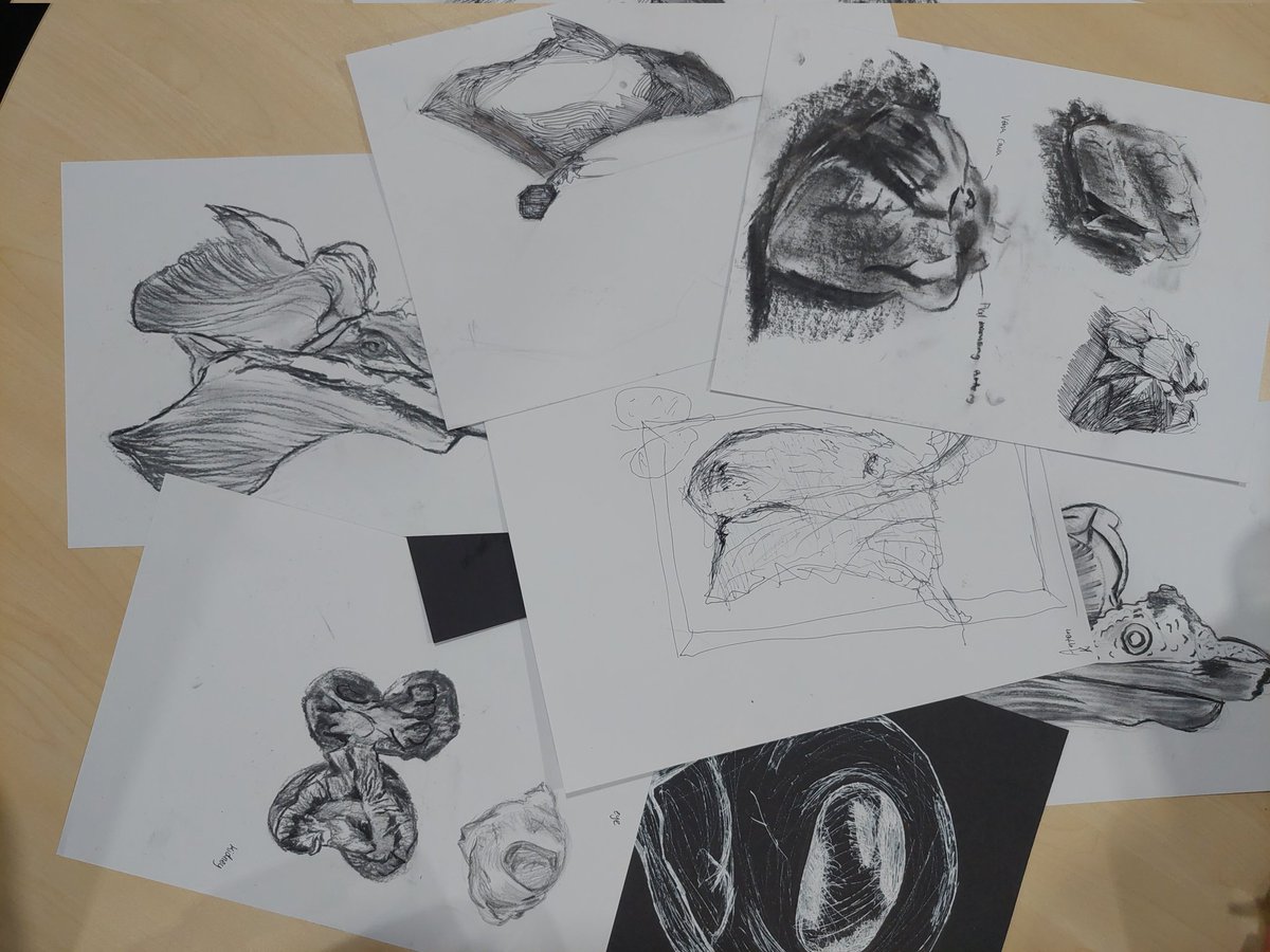 Art_Gis's tweet photo. My favourite science week art activity - dissection drawing! We learned about kidneys, hearts, lungs and eyes. #observationaldrawing #lookcarefully #gislearning #artistscientist Thanks @GISscience for hosting. https://t.co/UCwWxgTGCh