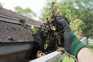 SBPInsurance's tweet image. Most houses need a guttering system to guard the roof against the rain and to protect the building’s foundation from excessive rainwater. Learn more about the purpose of rain gutters and find out if your home needs them. buff.ly/2VWafsP