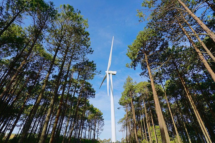 Iberdrola plantará 100.000 semillas al día con drones en Castilla y León dlvr.it/SMdJYB