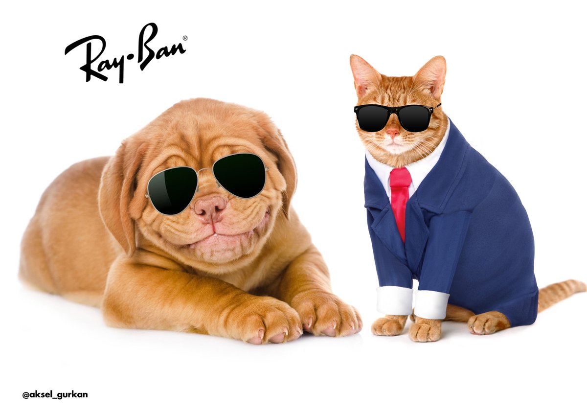 So it is the day to remember fellas. 
One Minute Brief of the Day:
Create posters to advertise #Sunglasses 
<a href="/OneMinuteBriefs/">One Minute Briefs ⏱️</a> <a href="/ray_ban/">Ray-Ban</a> <a href="/_SmartCat/">Smart Cat</a> <a href="/PupSmiling/">Smiling pup</a>