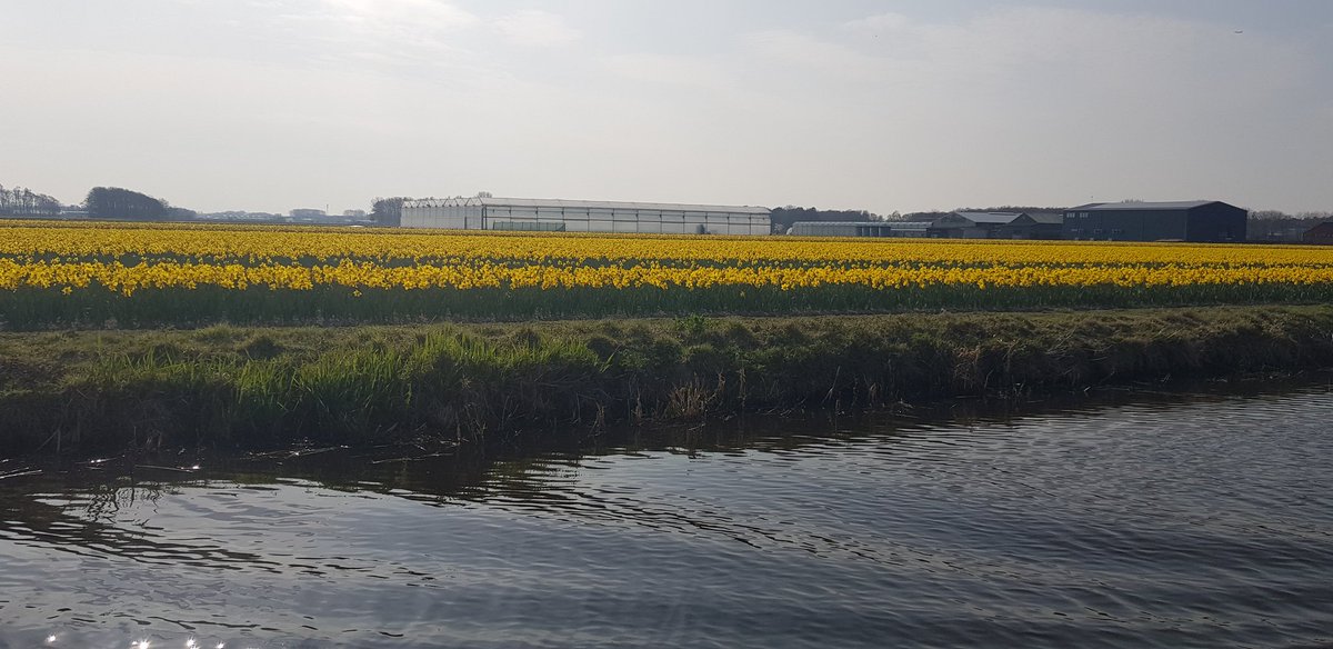HanKuijper's tweet photo. #Varen tussen de langzaam uit de grond spuitende #hyacinten, #crocussen en binnenkort de #tulpen in de #Bollenstreek

@BobOnBoard1 #bobonboard

Boeken via #strandrupsnoordwijk.nl https://t.co/PxTZaBS32F