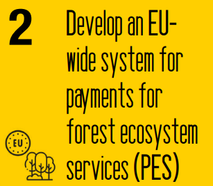 intercede_eu's tweet image. An EU-wide PES scheme for Europe?
What do we need?
✅systemic objectives &amp;amp; funding
✅cost-effective and flexible mechanisms
✅scientific knowledge ➕ participatory co-design
✅long-term perspective
✅identify priority areas
#sincereforests
👉bit.ly/4policypathway…