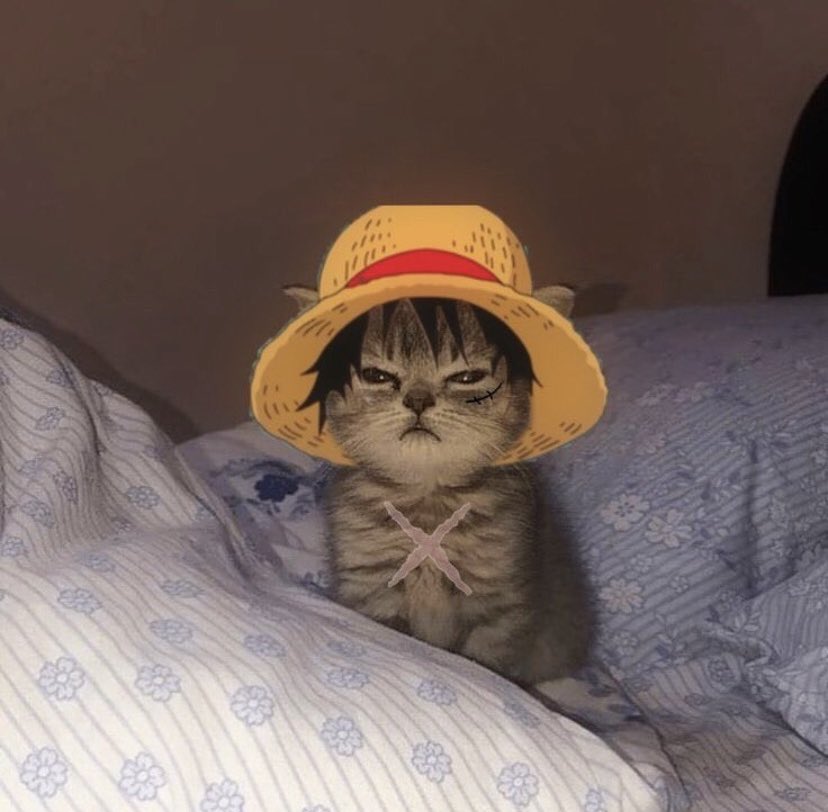 PiensosKome's tweet photo. ¿Algún fan de #OnePiece por aquí? 🤣 https://t.co/D1C23mPgsj