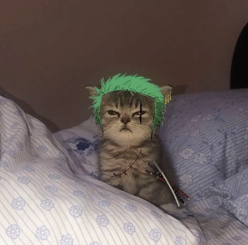 PiensosKome's tweet photo. ¿Algún fan de #OnePiece por aquí? 🤣 https://t.co/D1C23mPgsj