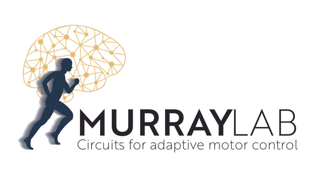 SWC_Neuro's tweet photo. Do you know someone looking for a Research Technician/Assistant role? Check out this vacancy in the Murray Lab at SWC. Find out more and apply here: https://t.co/ThtR4roPTV @andymurray000 https://t.co/MY4ddge1s1