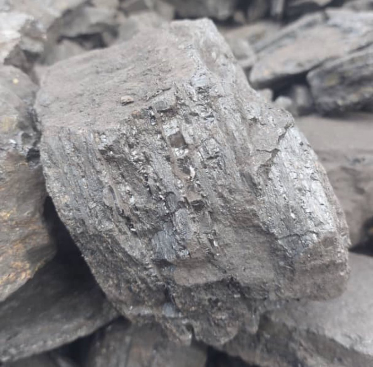 ContangoPlc's tweet photo. Production is underway on Block 2, which was selected given the high-quality coking coal found at that location and its proximity to surface. 

Studies estimate 96Mt of coking coal within Block 2, which forms part of the broader #CGO Lubu complex.

https://t.co/PY4weV3bFB https://t.co/vY3JqOqlwk