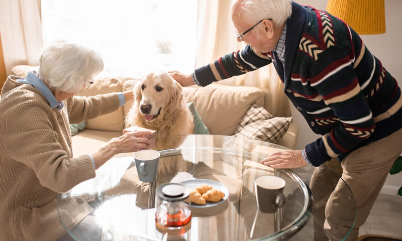 Canine_Concern_'s tweet photo. Do you have a great dog that would make a brilliant therapy dog, and some time to volunteer?
We are always looking for new dog owners to join us as members & help us bring joy to the lives of others ๐พ
See: https://t.co/QmFhs4Rs8l
#therapydogs #workingdogs #caredog #ukcharity https://t.co/oNpztmN5Ky