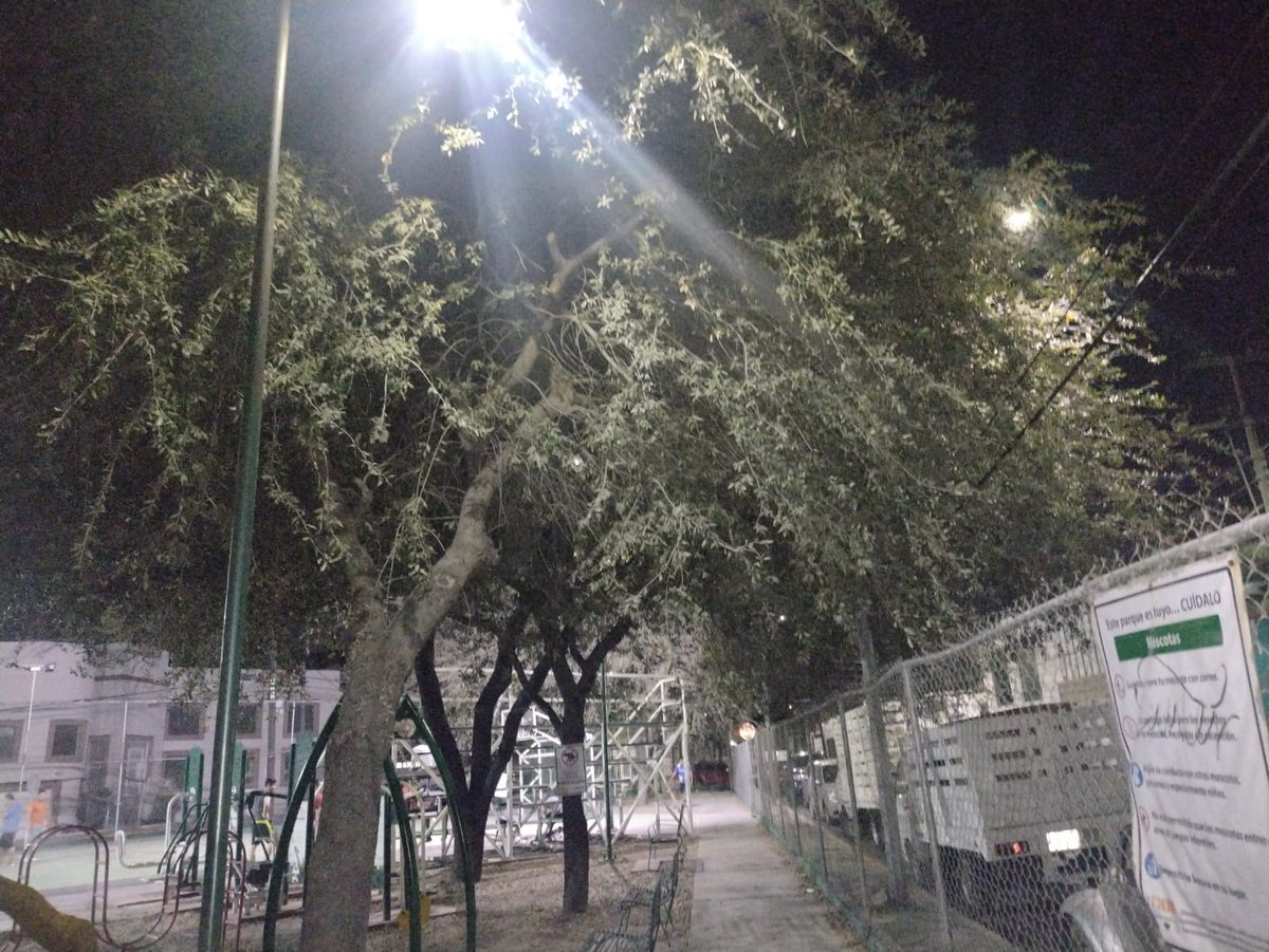 ComunidadChepeLomas tweet media