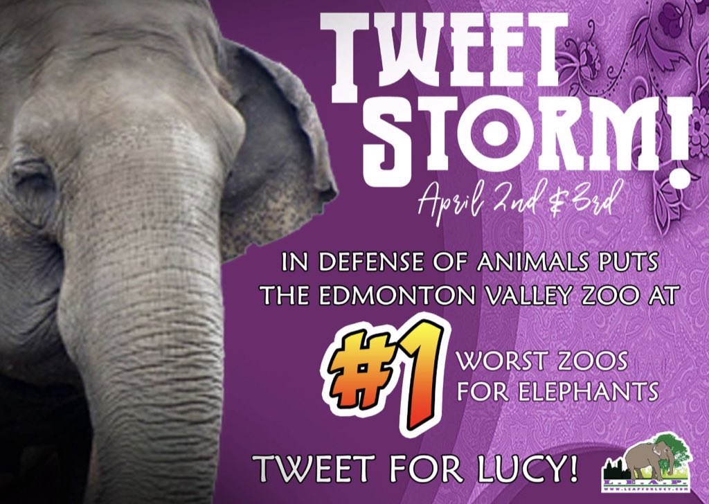 LEAPyeg's tweet photo. #Evzoo @CityofEdmonton @AmarjeetSohiYEG
“Please tell me lm not as unforgettable as your silence and lack of action is making me feel”
@cher @rickygervais @thelittleidiot @LeoDiCaprio @VancityReynolds @JoannaLumleyUK @domdyer70 @JustinTrudeau @justinbieber @RobertDowneyJr https://t.co/53xrr1Ysq3