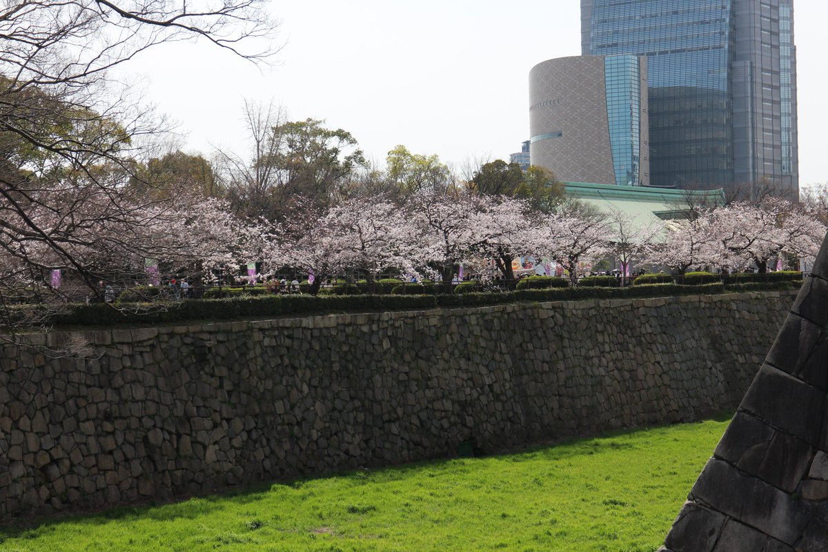 leaf5293's tweet photo. さくら🌸春だね😀 https://t.co/yxyX8i9dIg