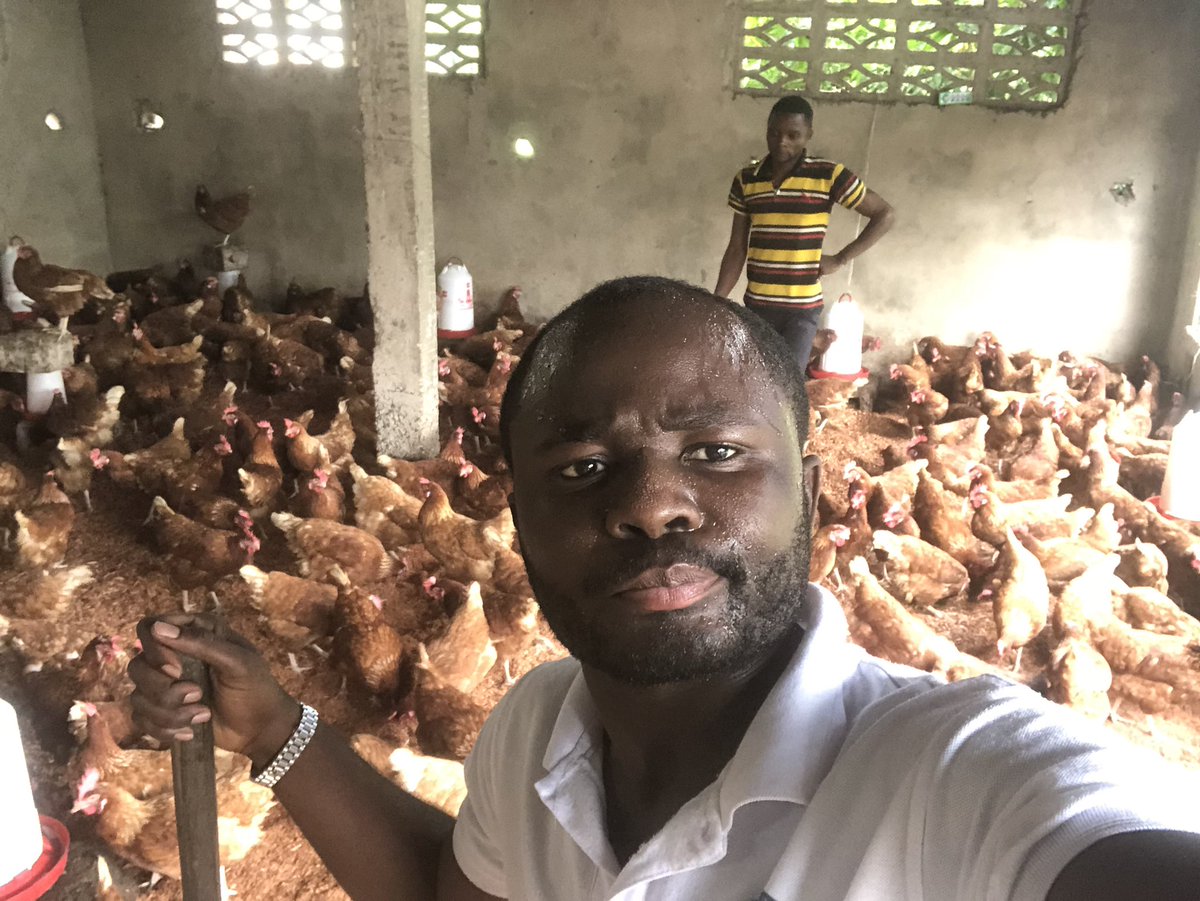 Elie Lomboto🇨🇩🐓 tweet media