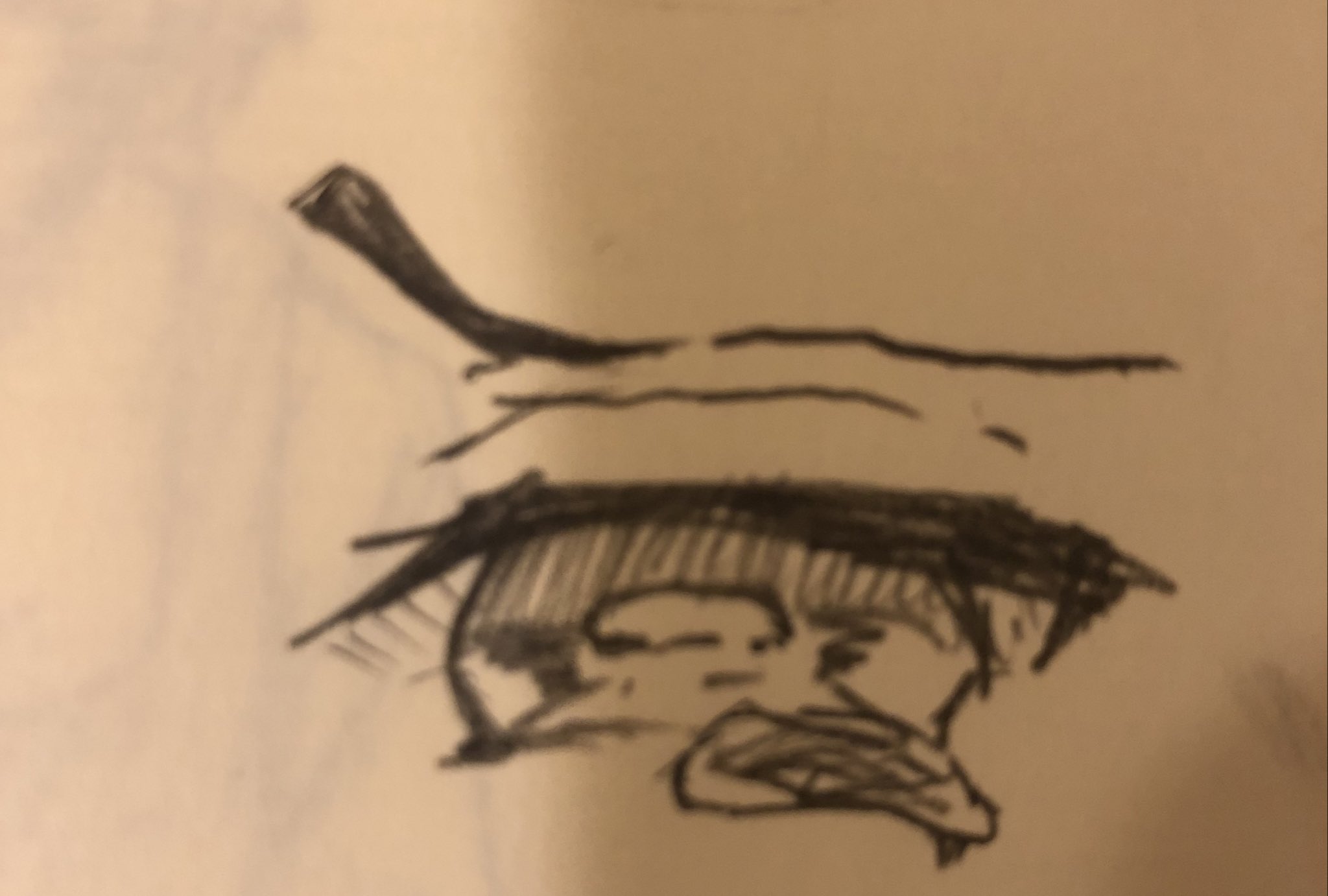 Roll お絵描き Roll Twitter