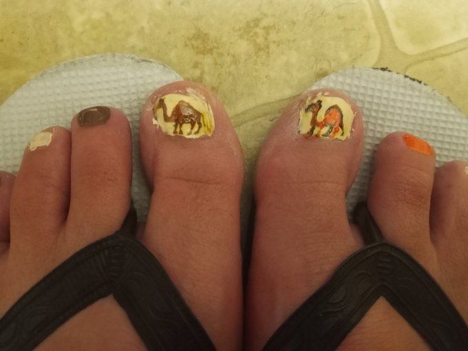Just did my nails.  Would you like to come on my camel toes.  Rhetorical question... https://t.co/Wt<a href="/tag/mvsales"class="tags"><span>#mvsales</span></a>