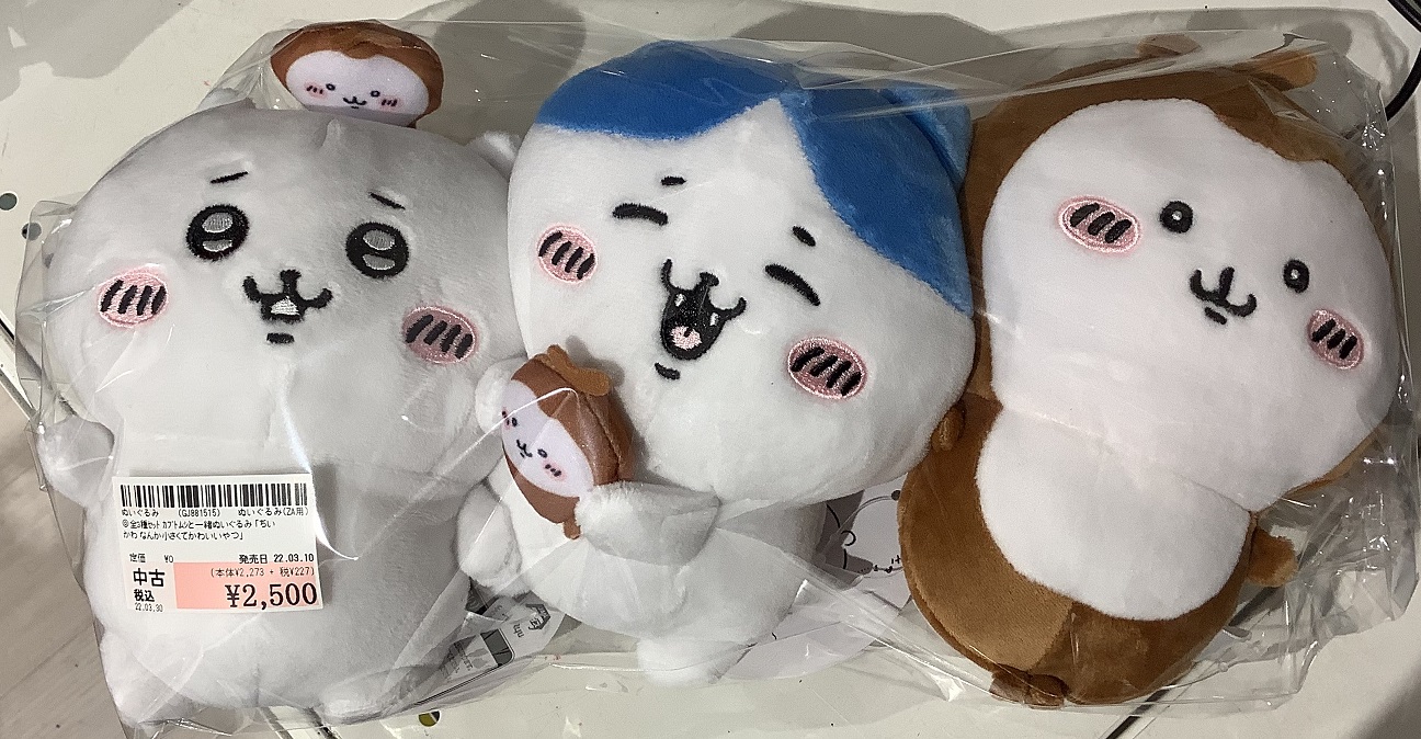 中古ぬいぐるみ 大きから ハチワレ カブトムシと一緒ぬいぐるみ 「ちい 