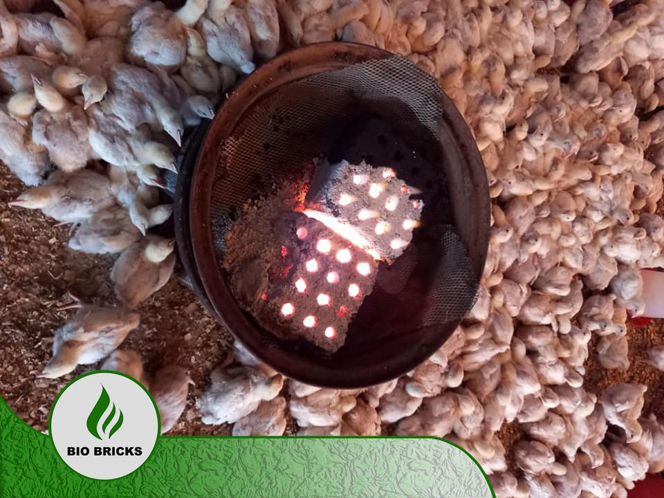 JJ_Nchabz's tweet photo. Dumelang/Sanbonani ke rekisa a product called the #biobricks it's a brick that burns for up to 5hrs without any smoke or any bad odor for only R30 and can be used for all heat purposes
#biobricks #braai #coopheating #SouthAfrica https://t.co/ju6pYei7OD