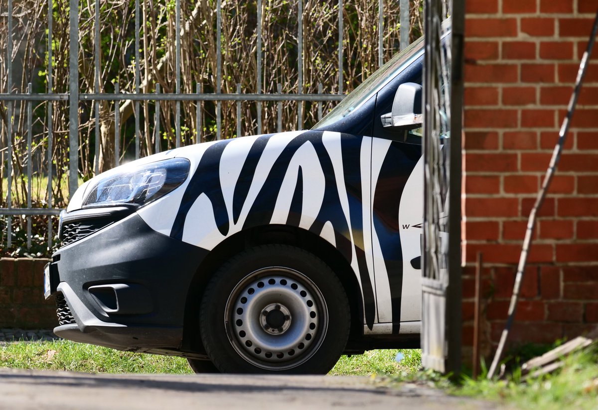 Agenturfoto's tweet photo. Tarnung ist alles, die Zebras sollen hier irgendwo sein.  #Berlin ist die Steppe, die Wüste und der Dschungel! #Safari https://t.co/wJKQ4g24ab